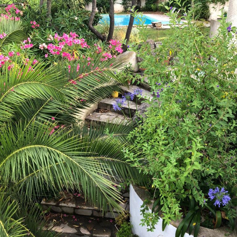 a garden with a bunch of flowers and plants at L’appartement - Jardin Secret in Marseille
