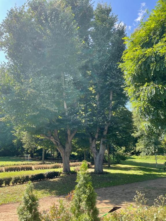 Internat Schloss Spiegelberg - 15