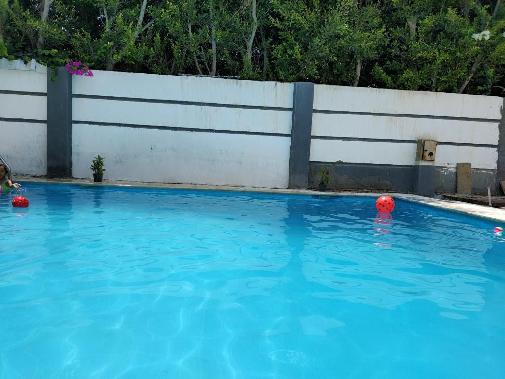 Villa Seif - отзывы и видео