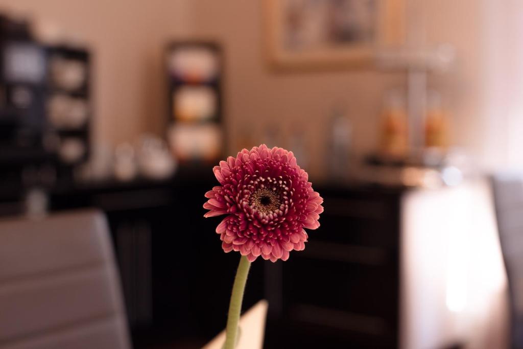 Posezení v ubytování Hotel Das Kleine Ritz