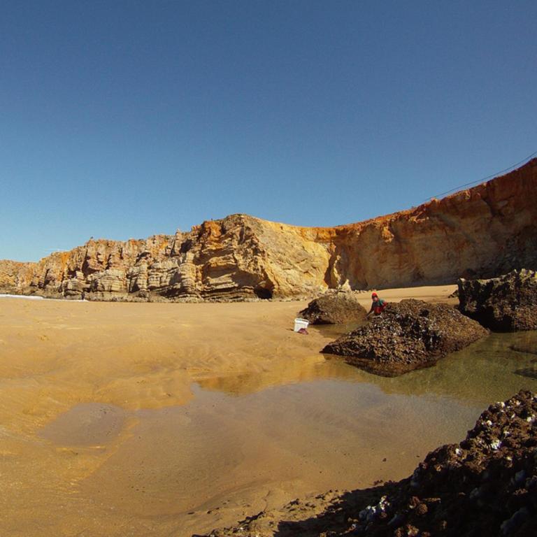 a person standing on a beach near a cliff at Pure Flor de Esteva in Vila do Bispo
