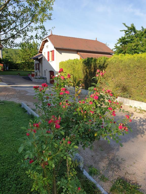 a bush with red flowers in front of a house at Au Grés du Vent in Ruy