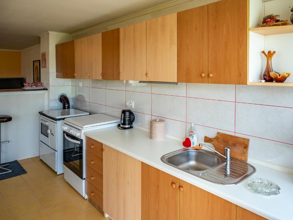 una cucina con lavandino e piano cottura di Holiday Home Navis a Karlovac