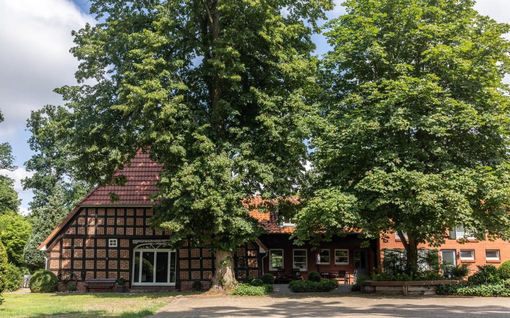 una casa con un gran árbol delante de ella en Pension Cohrs Hof, en Hellwege