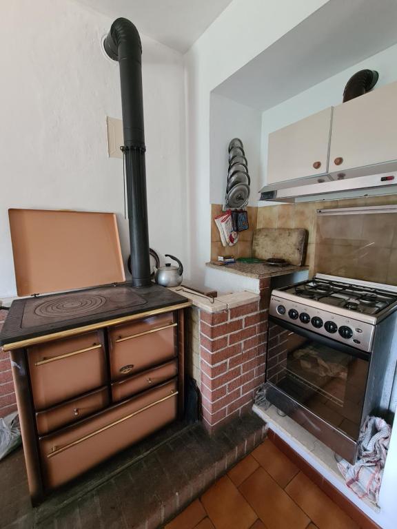Kuchyň nebo kuchyňský kout v ubytování Appartmento Rustico Montagna Val Maira Castellaro