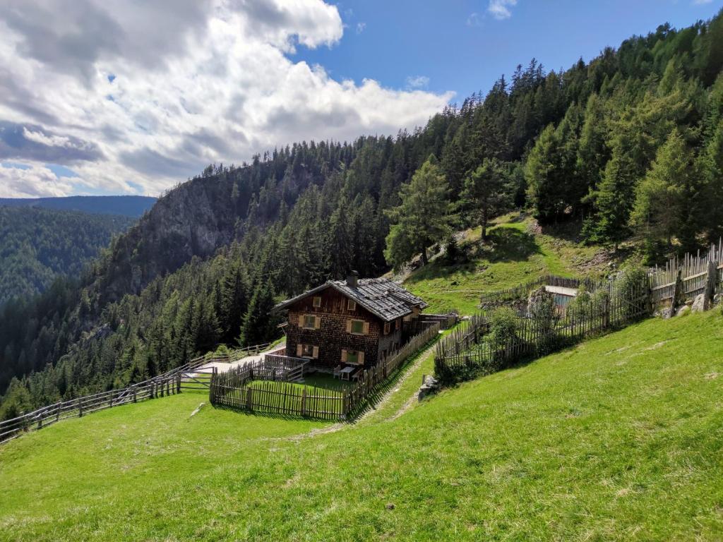 uma casa numa colina num campo verde em Hirschhof Pfrein - Hideaway em Chiusa