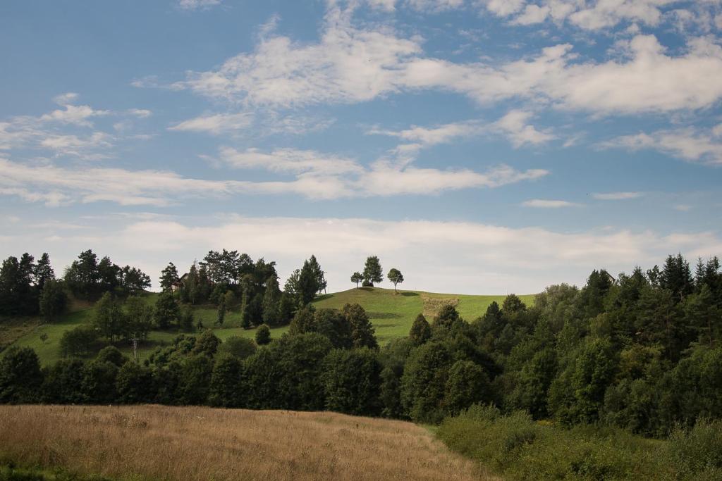 Príroda v okolí horskej chaty