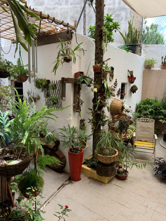 Zahrada ubytování Casa La Minerva