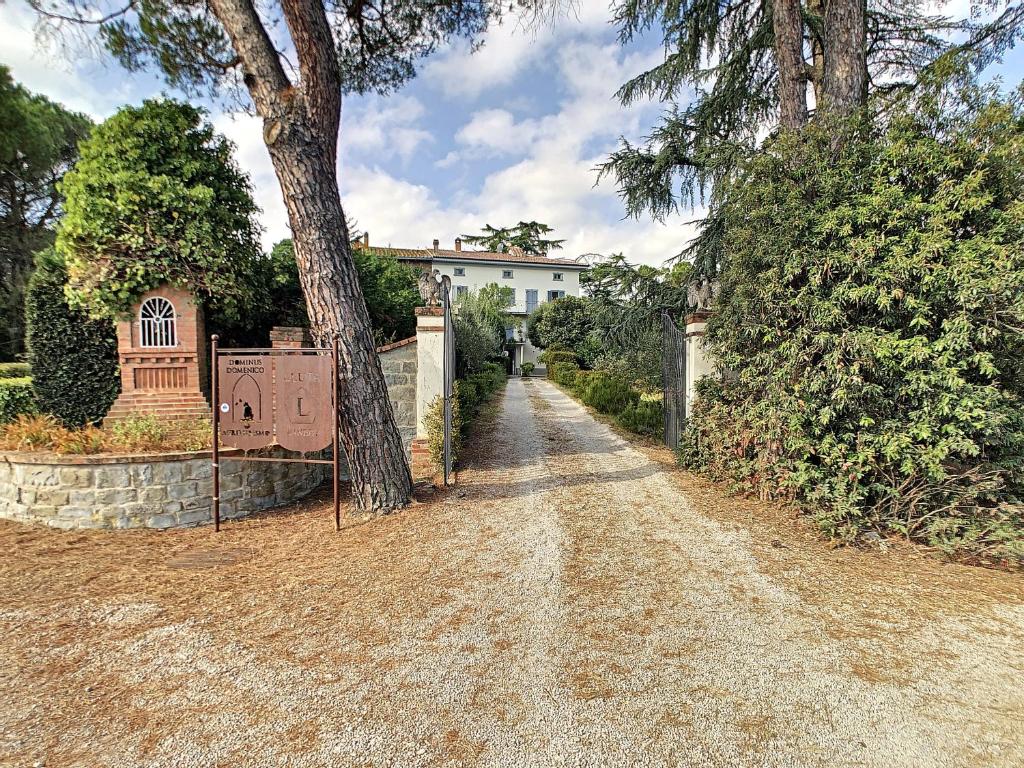 a dirt road in front of a house with a tree at Agriturismo Dominus Domenico in Cortona