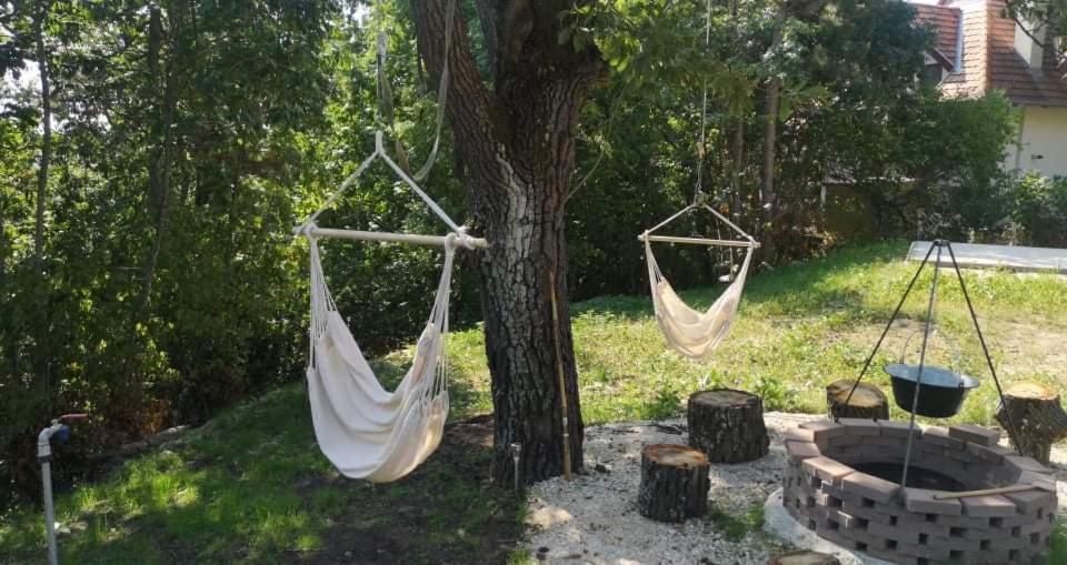 Ogród w obiekcie Forest House Balaton