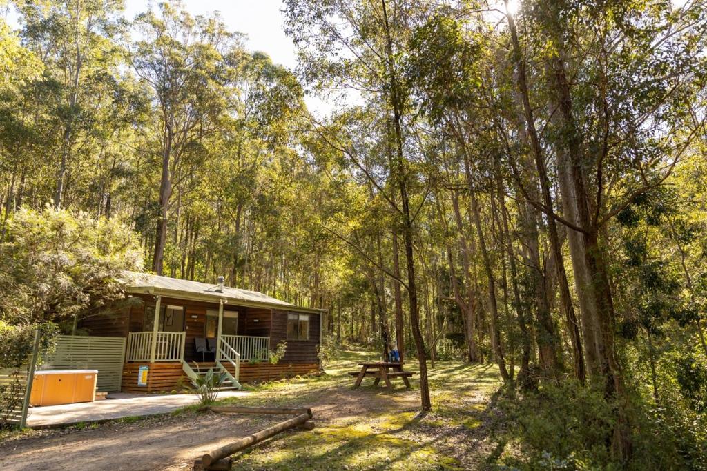 a cabin in the woods with a picnic table at Cottages On Mount View in Mount View