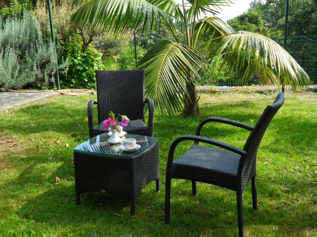 Zahrada ubytování Hotel Villa Degli Aranci