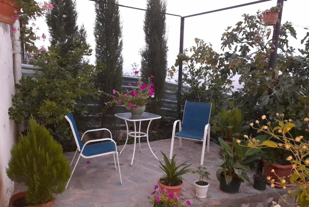 Zahrada ubytování Abramichi Guest House