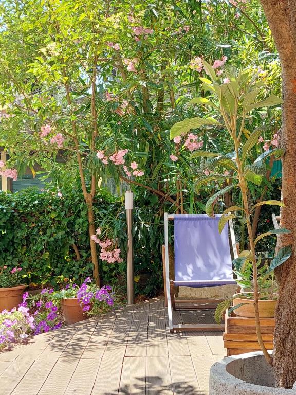a tv sitting on a bench in a garden at Albamare in Monterosso al Mare