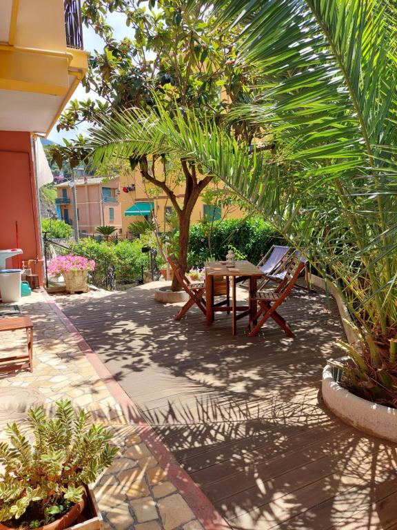 a patio with a table and a palm tree at Albamare in Monterosso al Mare