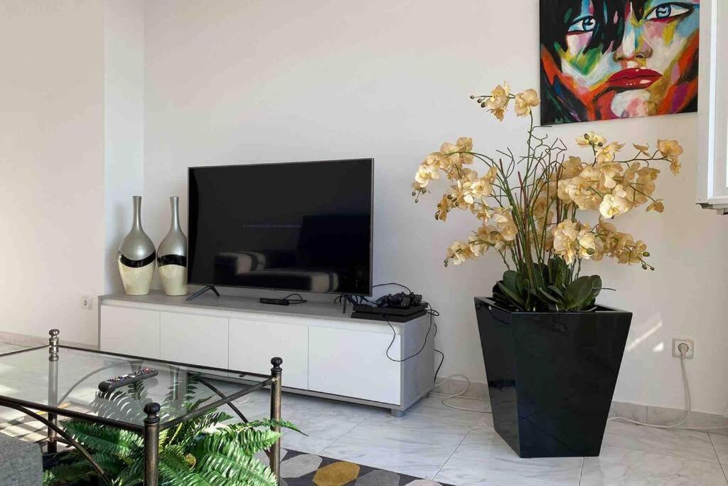 salon z telewizorem i wazonem z kwiatami w obiekcie apartamento plaza del parque w mieście Villanueva de Arosa