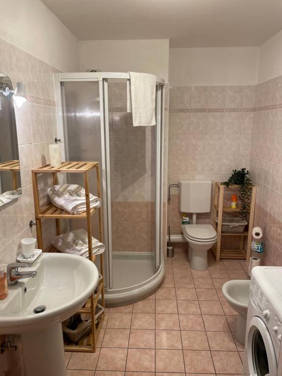 a bathroom with a shower and a sink and a toilet at Belle Vue de St Gervais in Saint-Gervais-les-Bains
