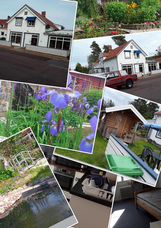 Fotografie z fotogalerie ubytování Knihsgården v destinaci Rättvik