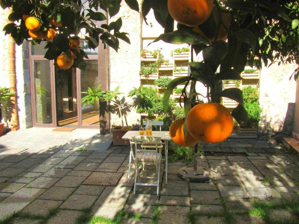 Vonkajšia záhrada v ubytovaní B&B ComeinSicily CortedeiLimoni Charming & Relax