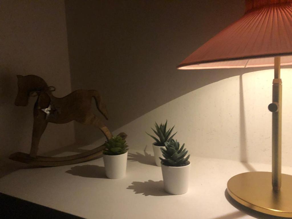 Kép Sweet home szállásáról Costermanóban a galériában