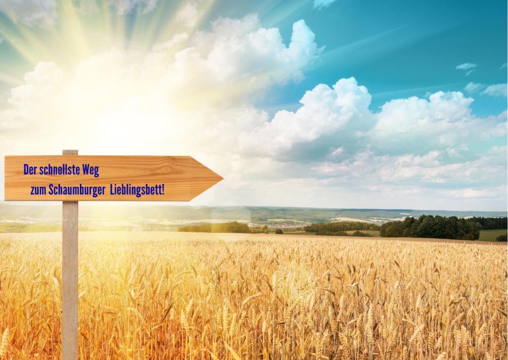 a wooden sign in front of a field of wheat at Ferienhaus Zur Sonne in WÃ¶lpinghausen