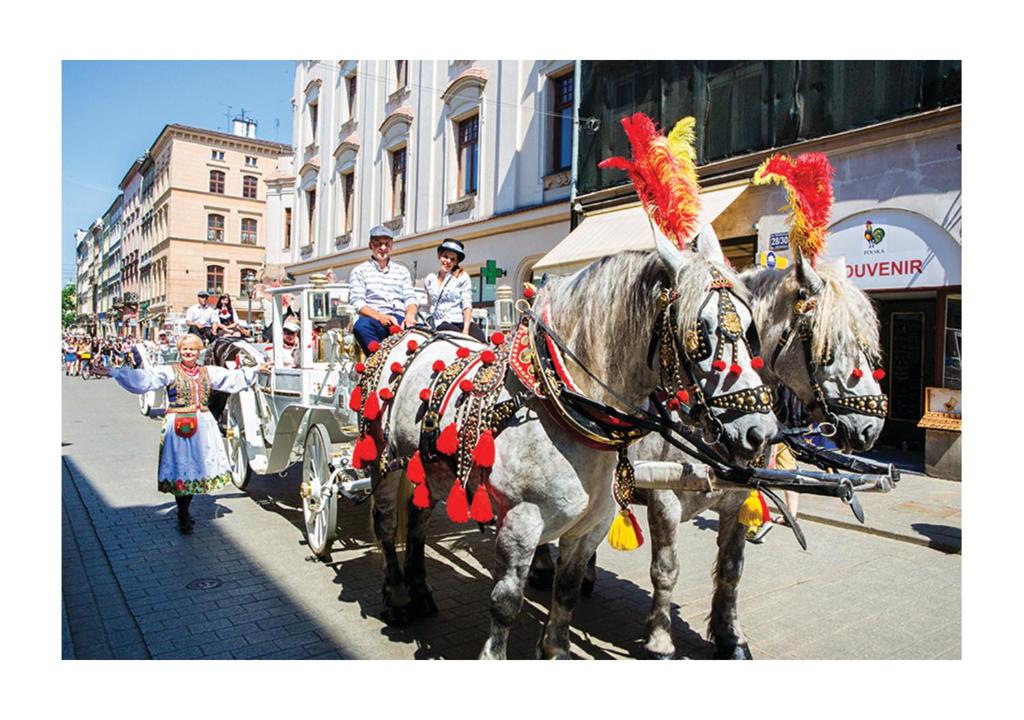 Aparthotel Grodzka 21 - Resim 38