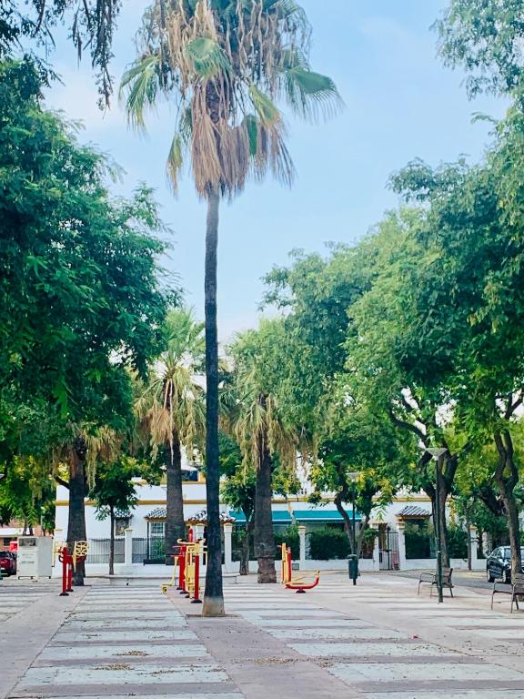 Fotografie z fotogalerie ubytování Ático Plaza España v destinaci Jerez de la Frontera