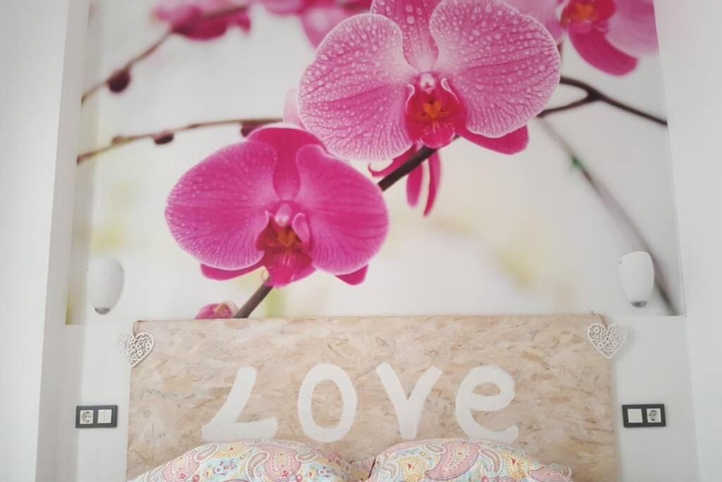 Billede fra billedgalleriet på SUITE JINETES i Málaga