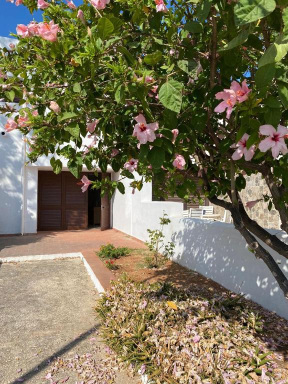 Vonkajšia záhrada v ubytovaní Villa Bella Vista