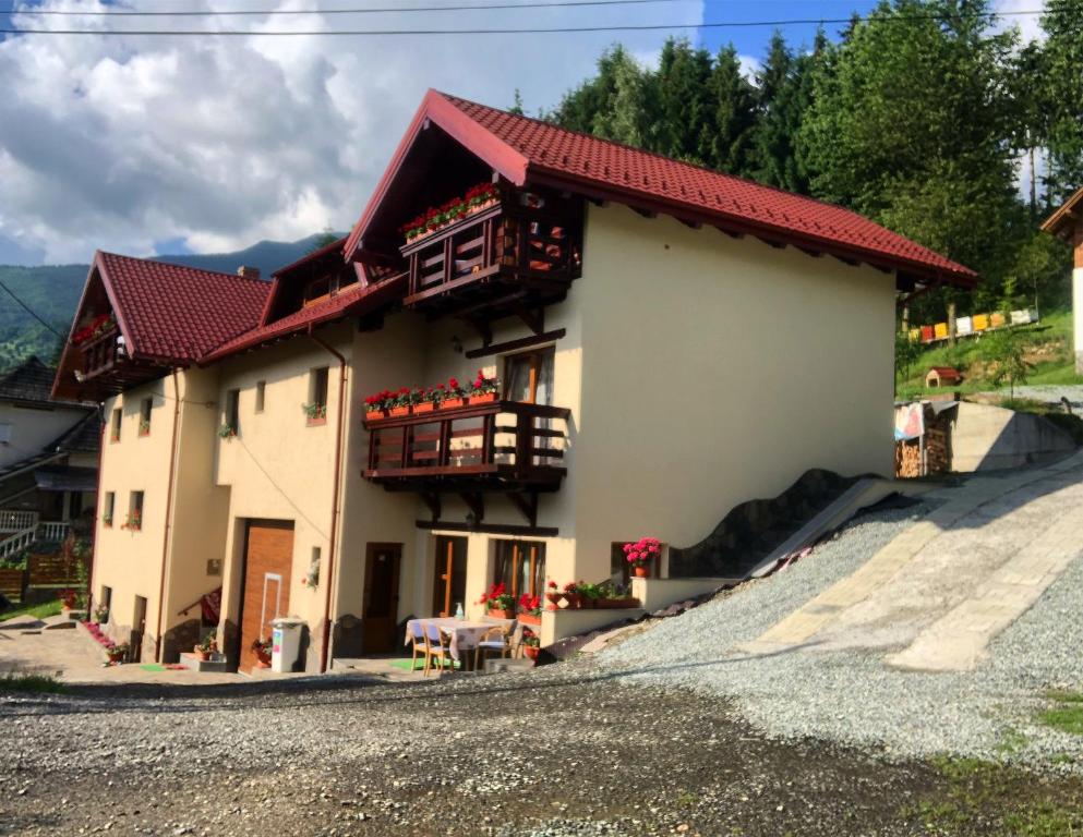 een huis met een rood dak en een balkon bij Pensiunea Dumitrita in Borşa