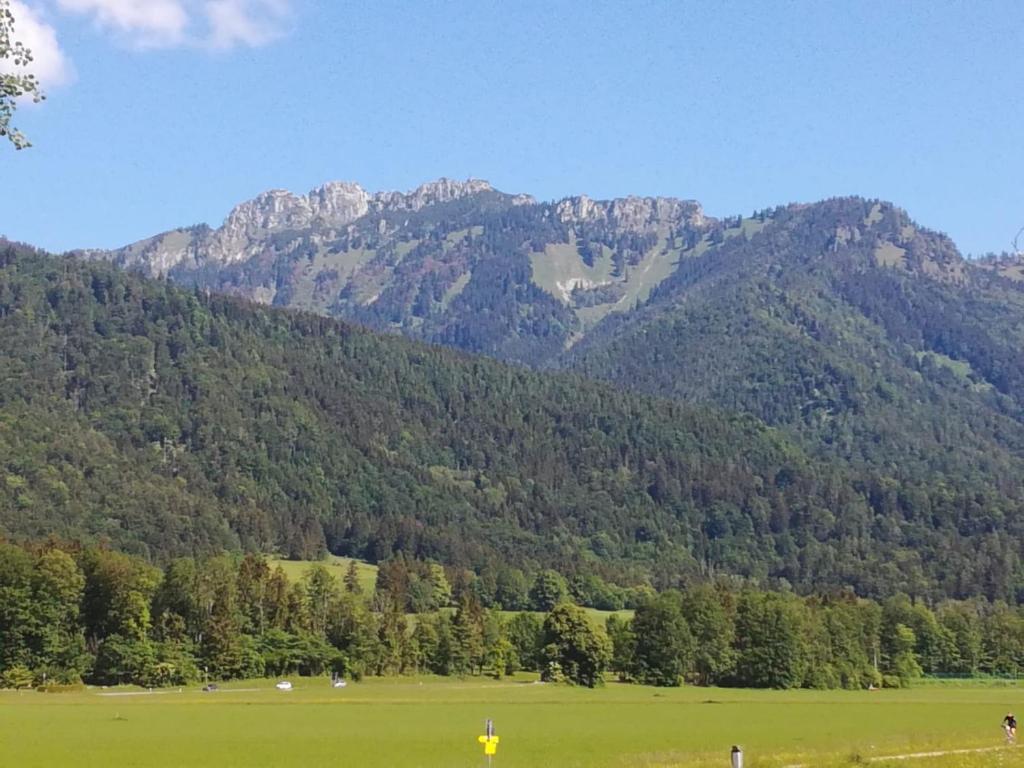 a green field with a mountain in the background at Ferienwohnung Adlerhorst in Unterwössen