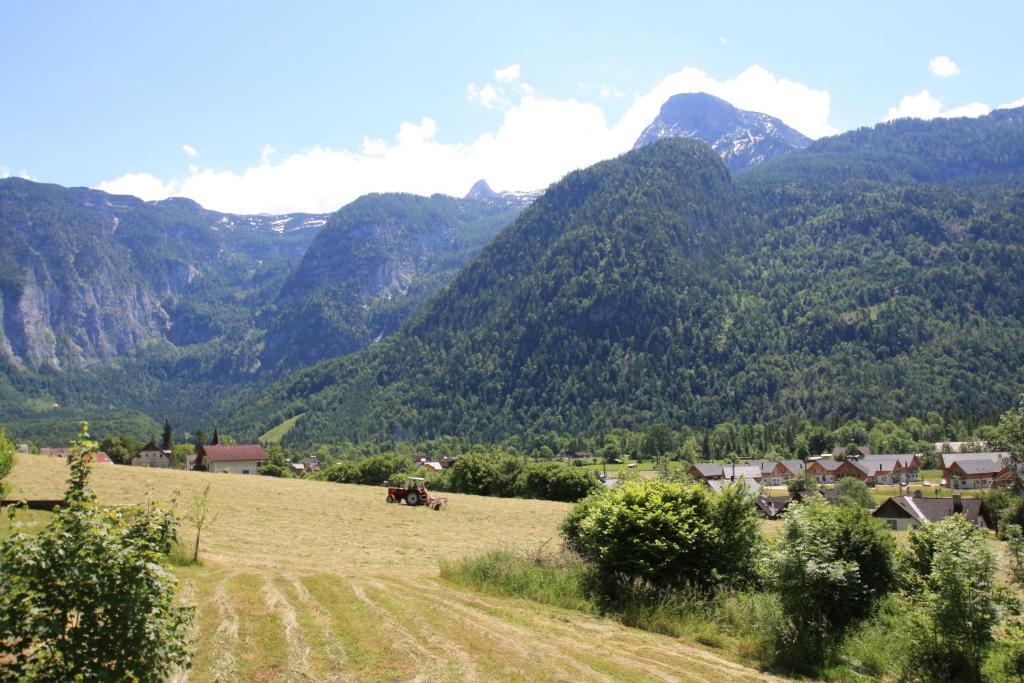 Haus Salzkammergut - 15