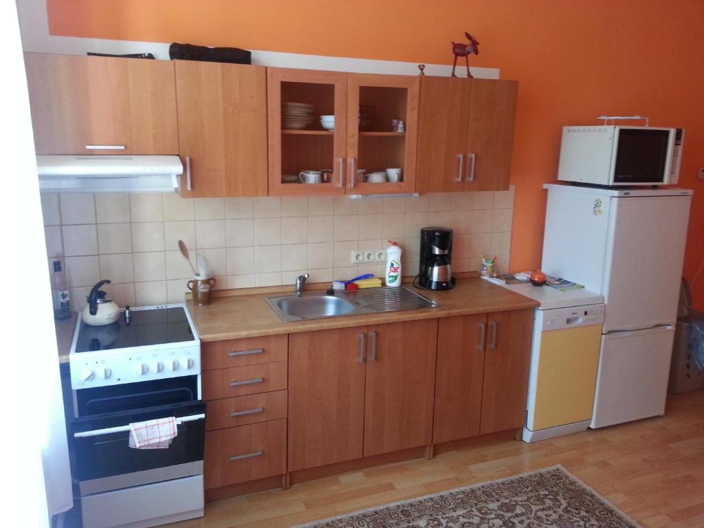 Kuchyň nebo kuchyňský kout v ubytování Café Dlask