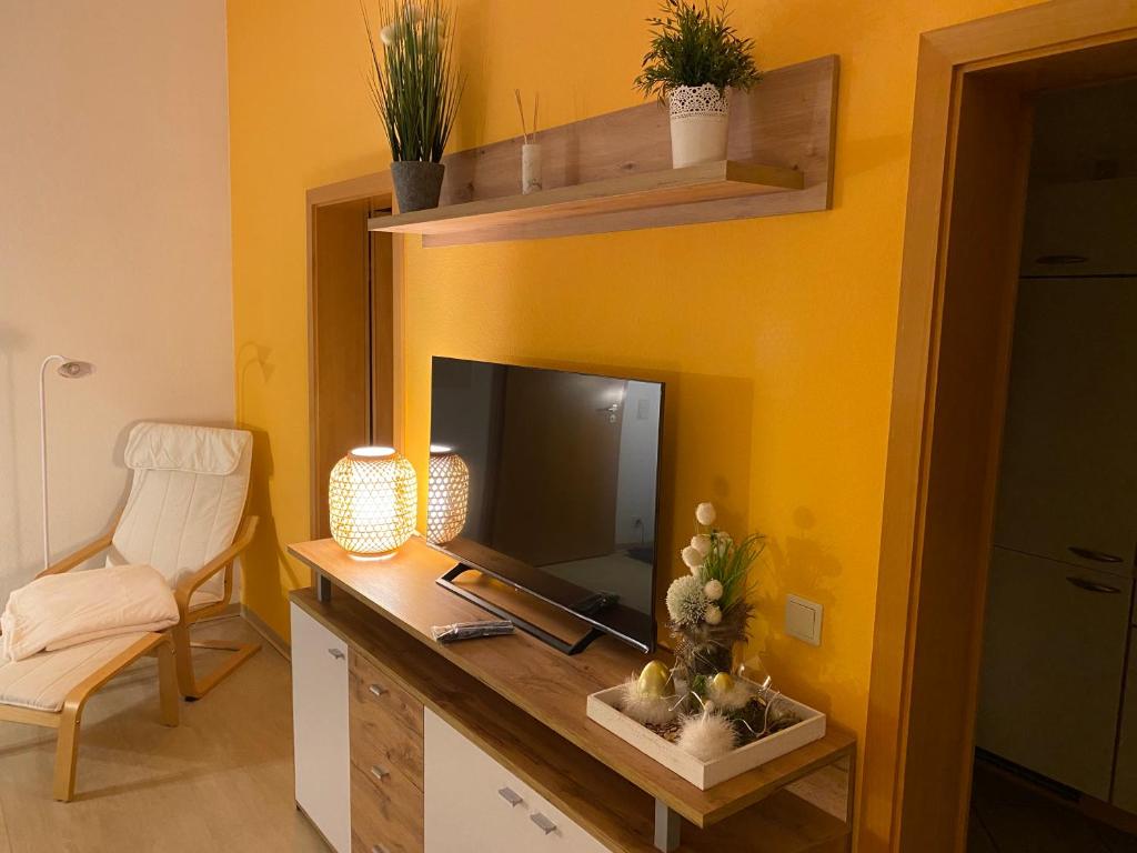 TV a/nebo společenská místnost v ubytování Apartment Altstadt-Panorama