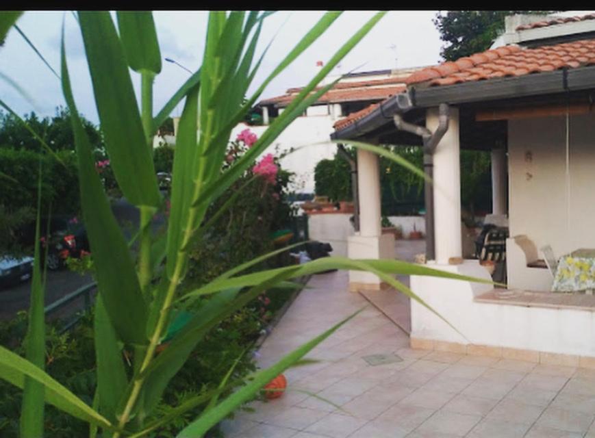 A garden outside Villetta Romeo Casavacanze
