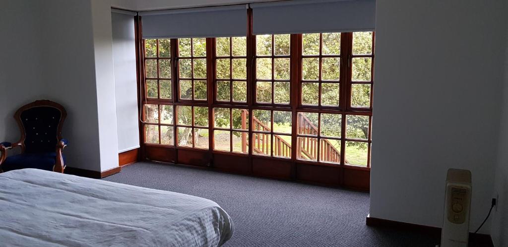 ポートエリザベスにあるProtea Lodge and Cottageのベッド1台と大きな窓が備わる客室です。