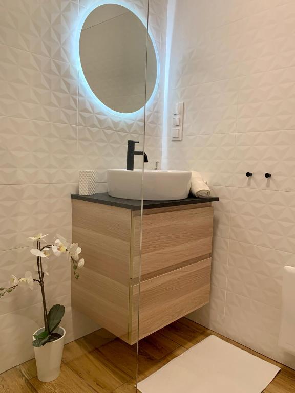 Koupelna v ubytování Madagascar Apartman Keszthely