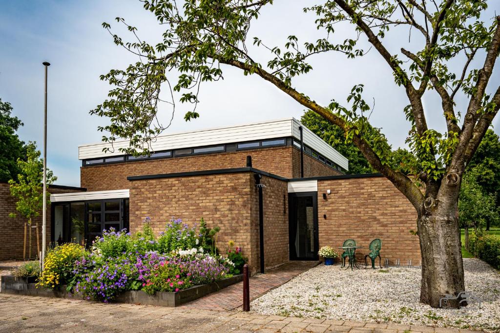 Zahrada ubytování B&B Nagele