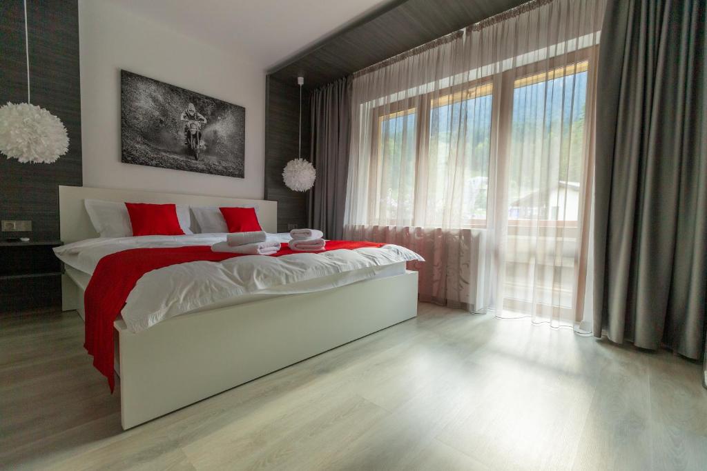 布希坦尼的住宿－Hrodberht Ski Apartment，一间卧室设有一张大床和一个大窗户