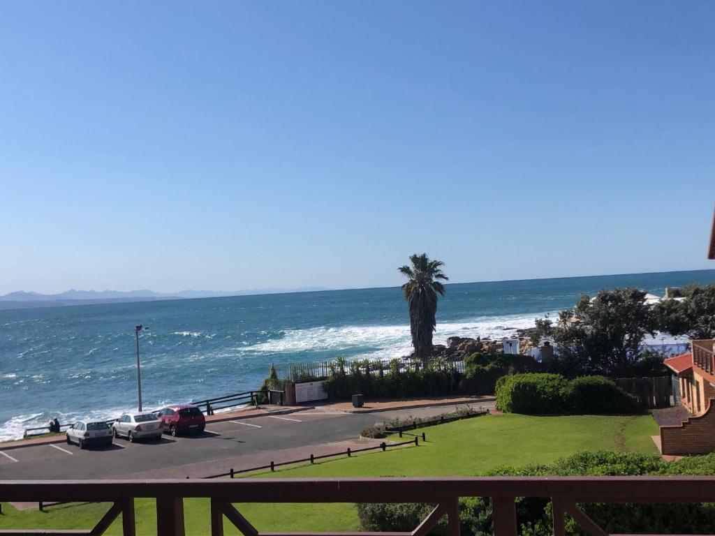 a beach with a palm tree and the ocean at King Fisher 6 in Mossel Bay