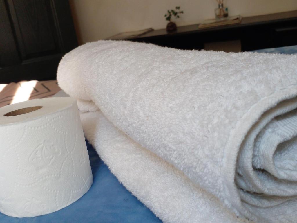 a roll of toilet paper next to a roll of towels at Overnight Stay in Johannesburg