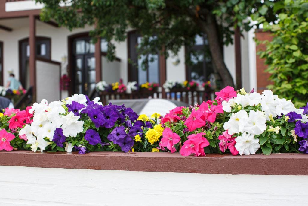 een bos van kleurrijke bloemen in een bloembak bij Gästehaus Hoferichter, Whg 1 in Wyk auf Föhr