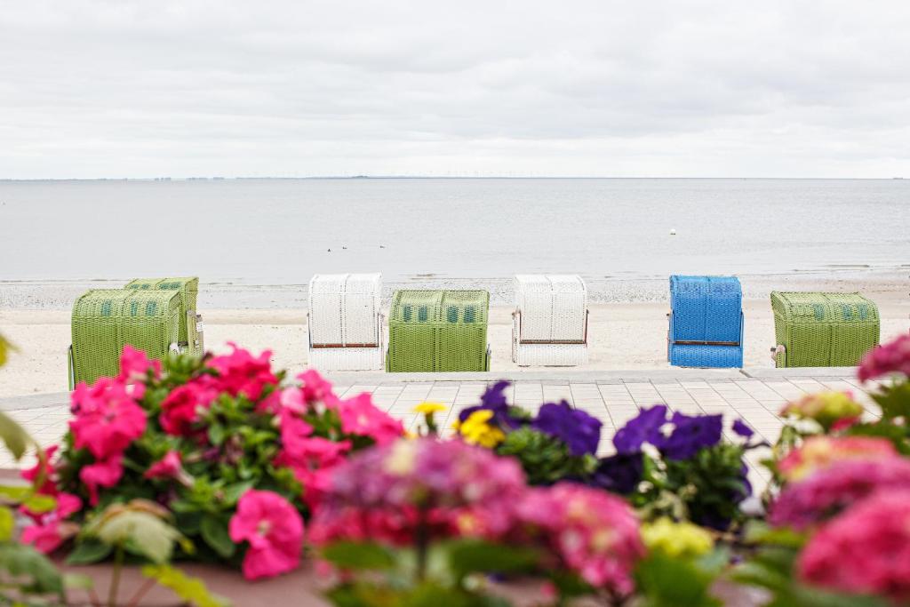 a group of chairs on the beach with flowers at Gästehaus Hoferichter, Whg 2 in Großenaspe
