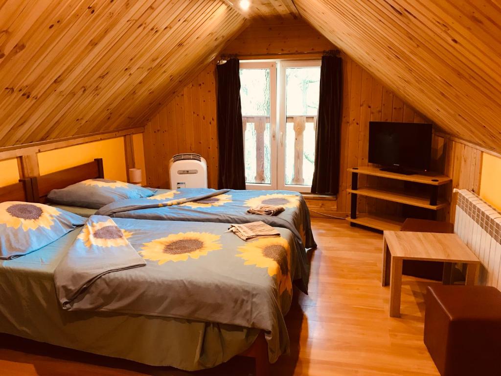 Pokoje pod Dębami - 1