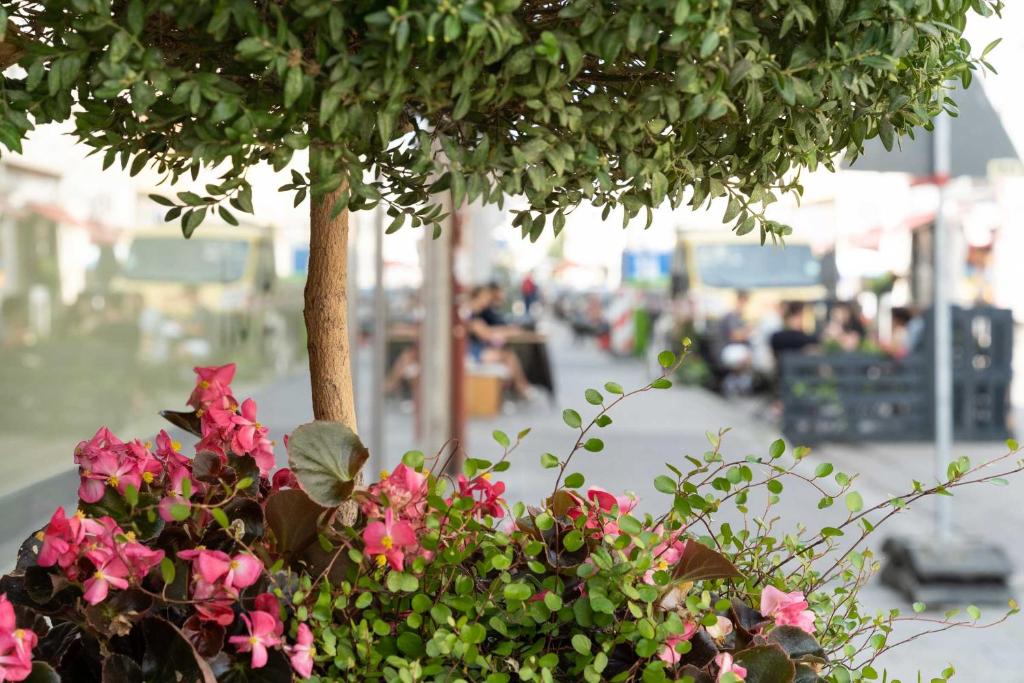 Westend Hotel (non-smoking) - Resim 25