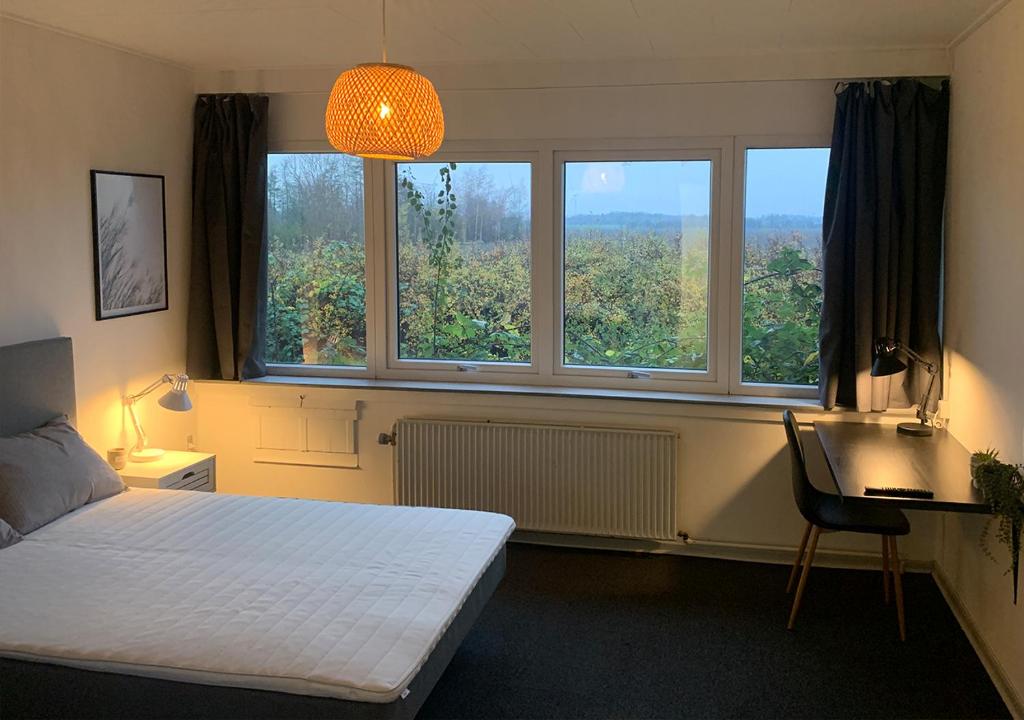 1 Schlafzimmer mit einem Bett, 2 Fenstern und einem Schreibtisch in der Unterkunft Camp Femern Bælt in Søllested