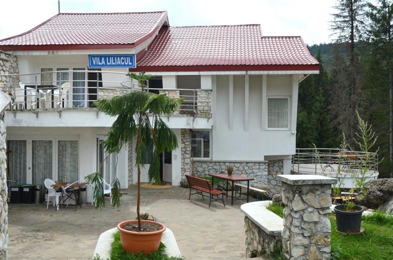 Zahrada ubytování Vila Liliacul