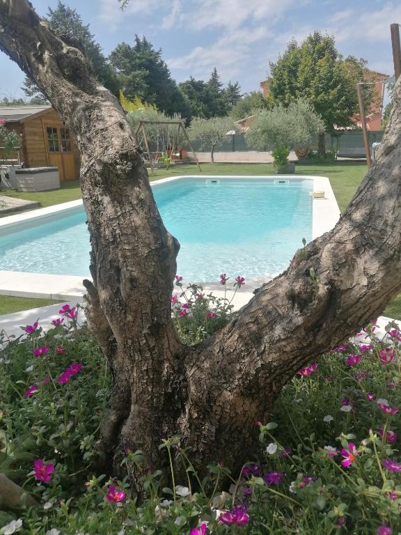 Bazén v ubytování L'atelier de Guytou et Spa nebo v jeho okolí
