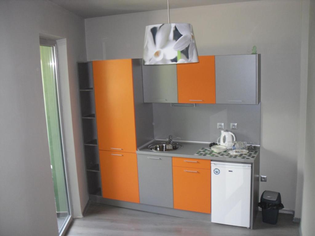 Kuchyň nebo kuchyňský kout v ubytování Detelina Complex
