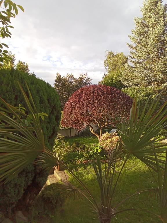 Pension Baron Schoeneck - 19